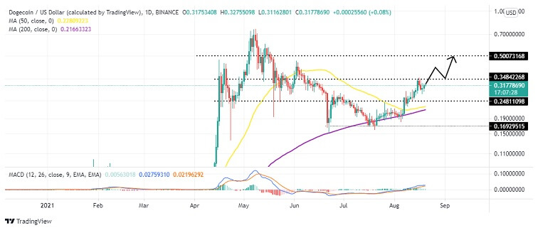 Dogecoin Price Prediction Doge Is On Track To 0 5 Here Are The Levels To Watch Trading Education Dogecoin Price Prediction Doge Is On Track To 0 5 Here Are The Levels To Watch Trading Education
